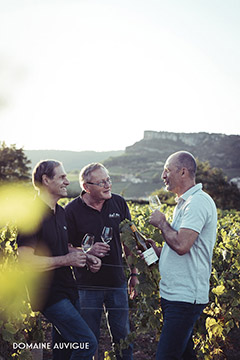 Domaine Auvigue - Mâconnais